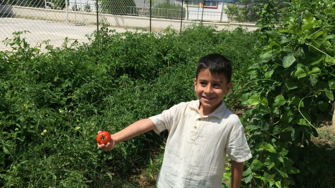 Erzincan’ın Çocukları Karbon Ayak İzini Azaltıyor